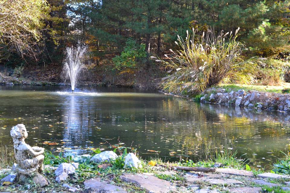 Pond area and fountain