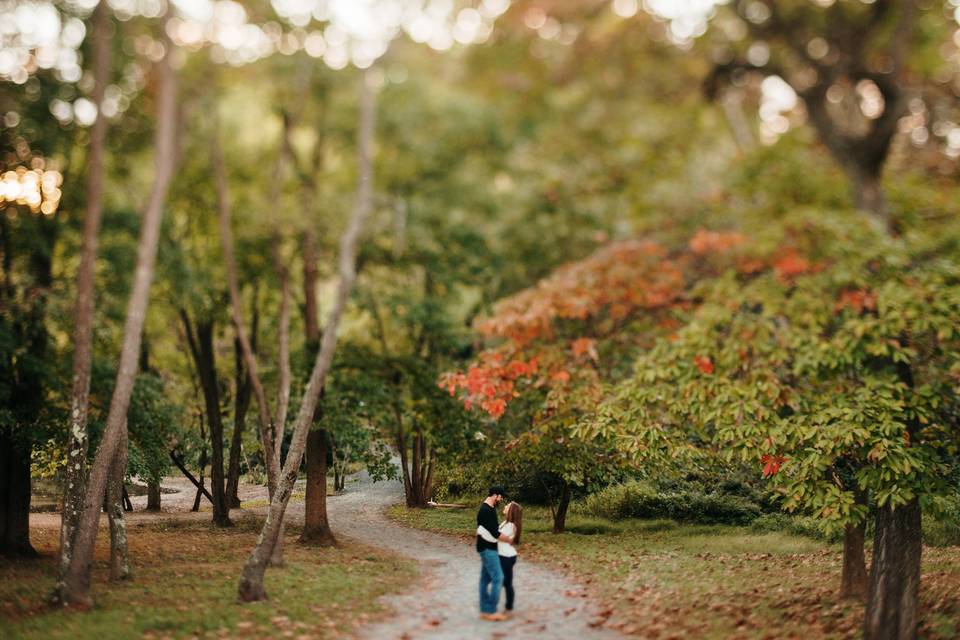 Fall Engagement Photos