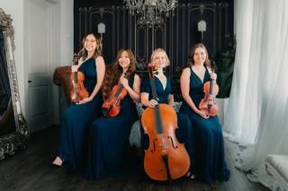 Lavandula Strings