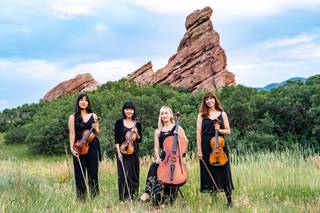 Lavandula Strings