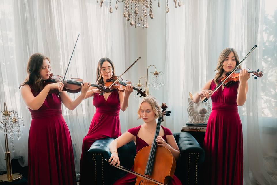 Wedding String Quartet