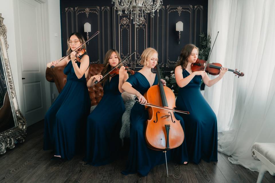 Wedding String Quartet