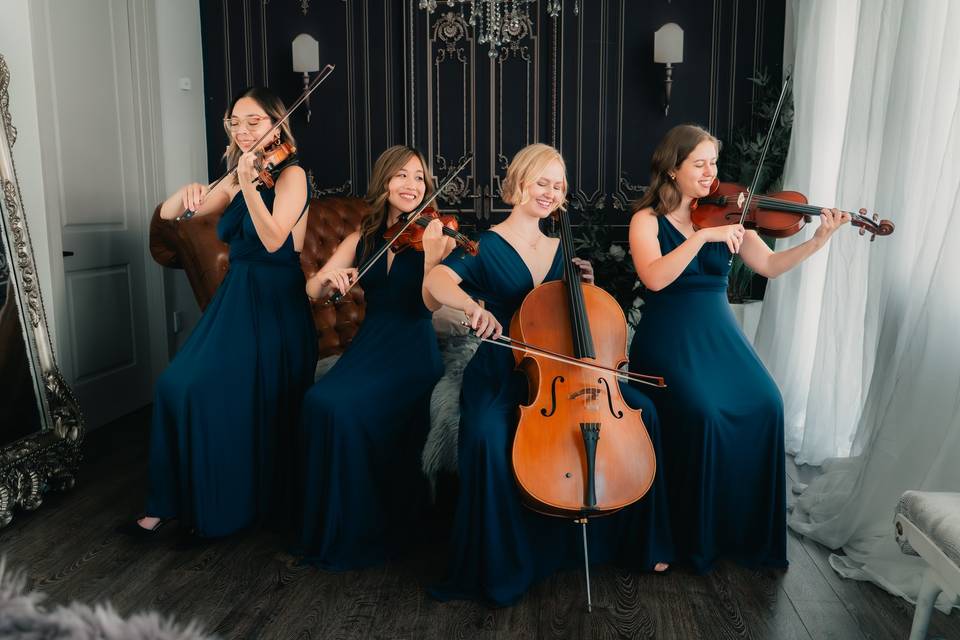 Lovely String Quartet