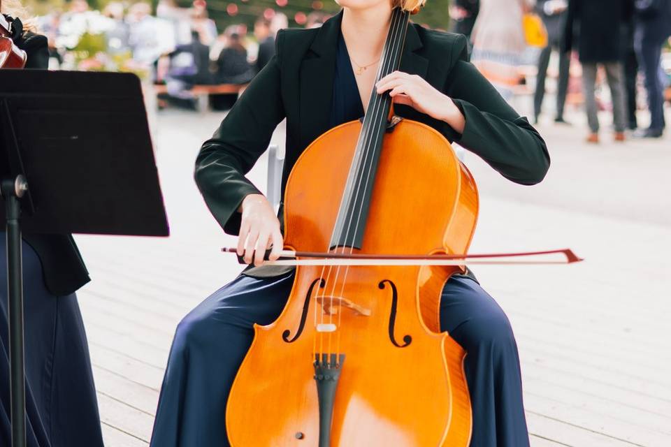 Wedding Cellist