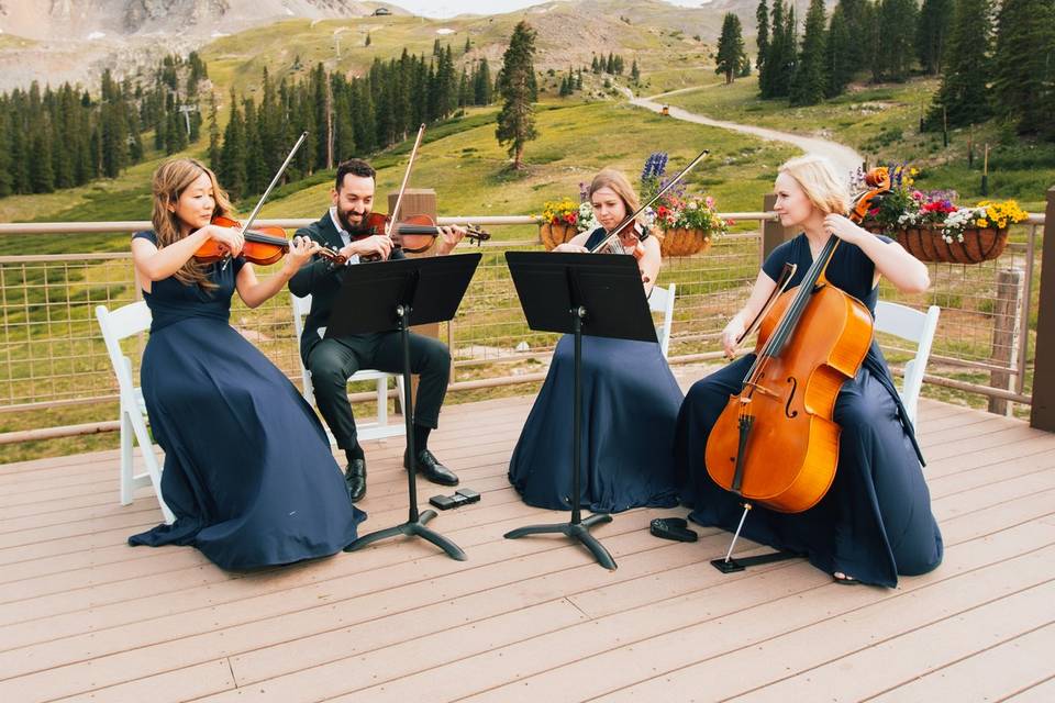Wedding String Quartet