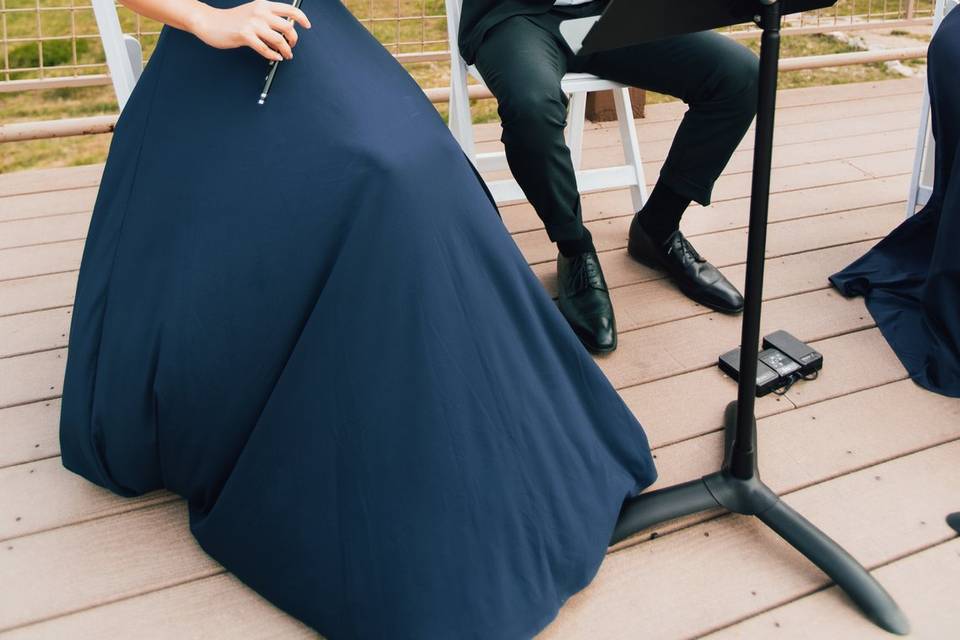 Wedding String Quartet