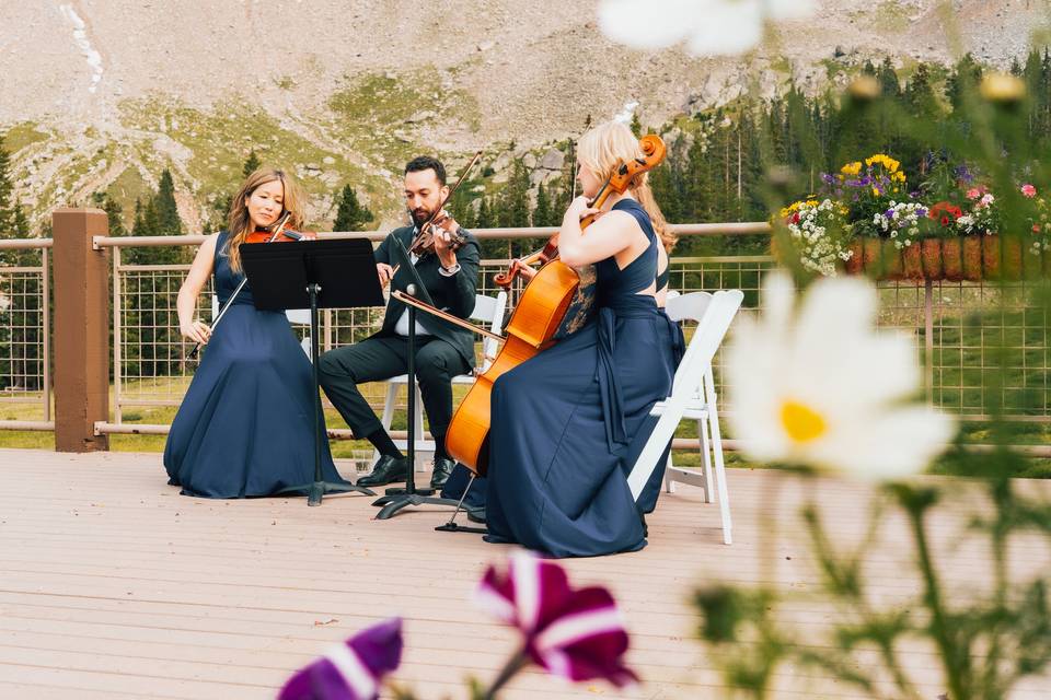 Wedding String Quartet