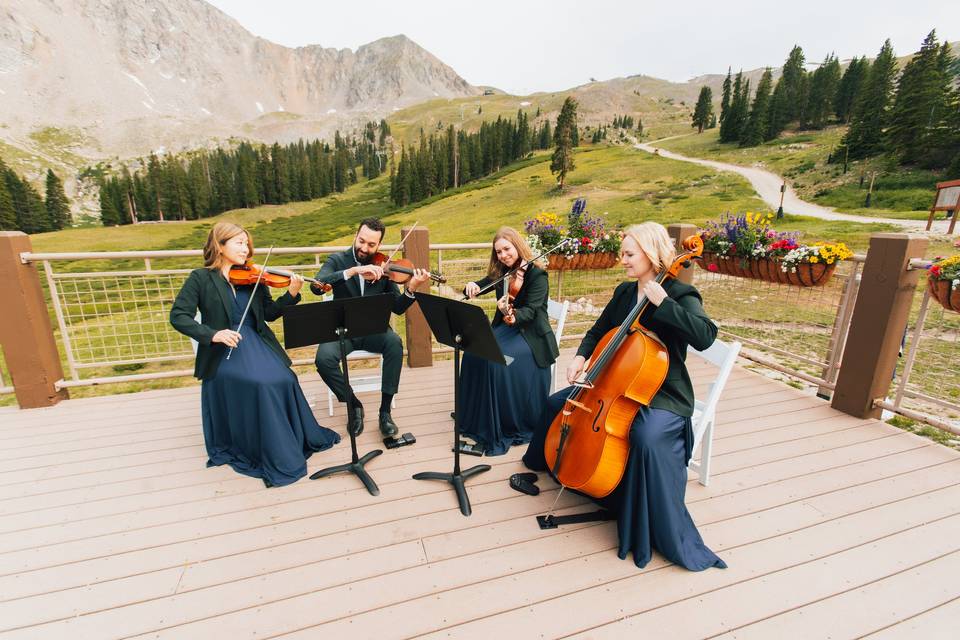 Wedding String Quartet