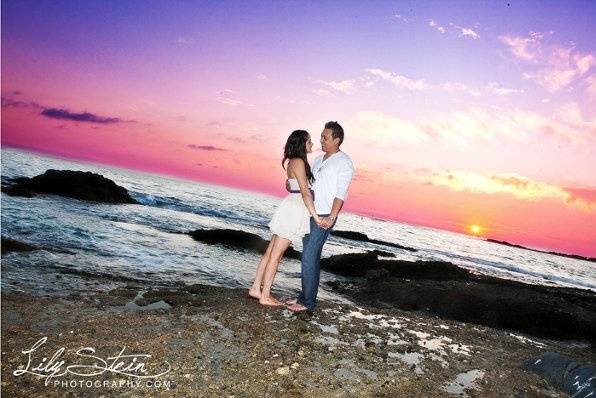 Lily Stein Photography