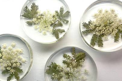 Full Bloom Flower Preservation