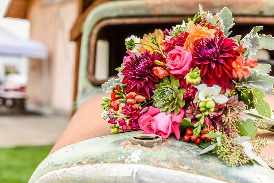 Mackenzie Lyn Photography