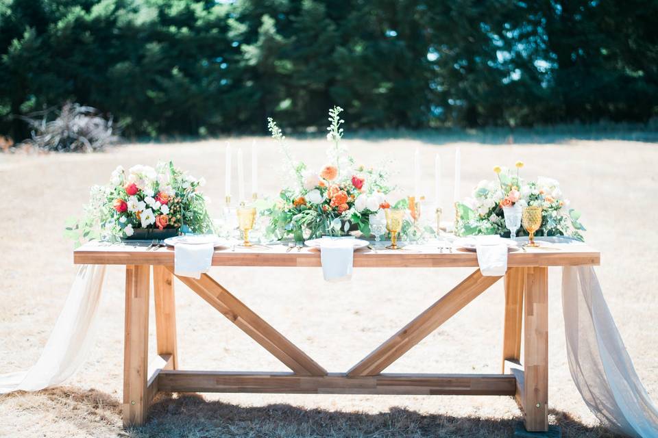 Mackenzie Lyn Photography