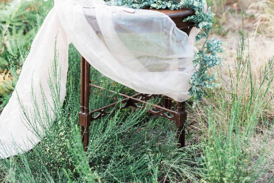 Mackenzie Lyn Photography