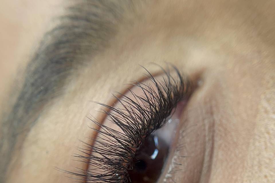 Textured Volume Lashes