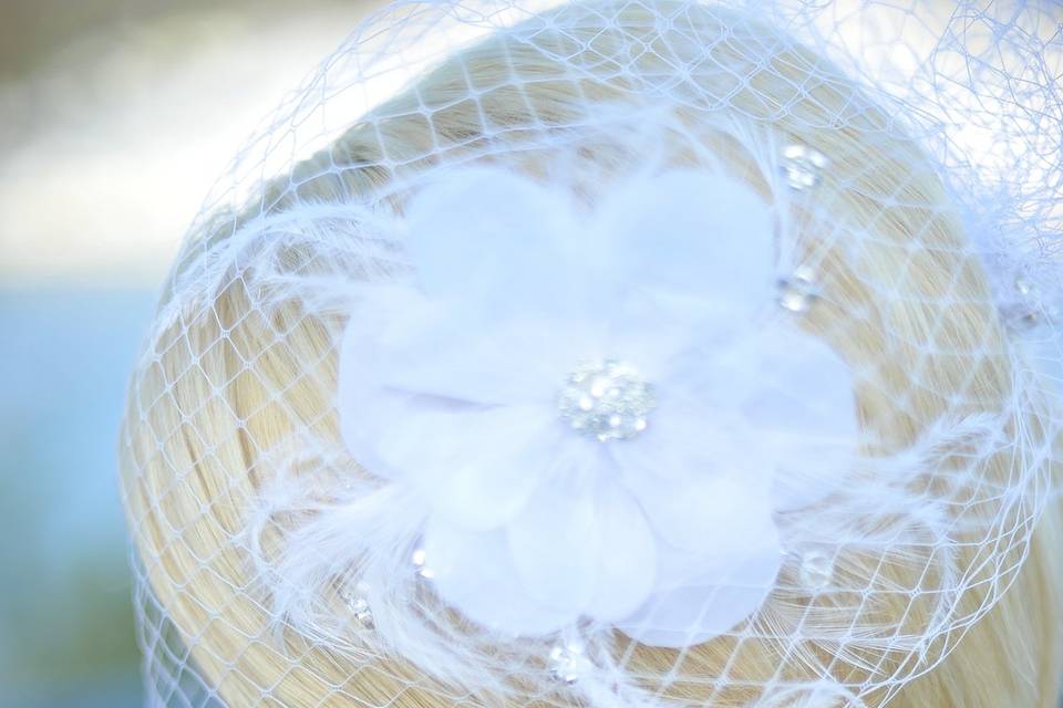 Birdcage veil