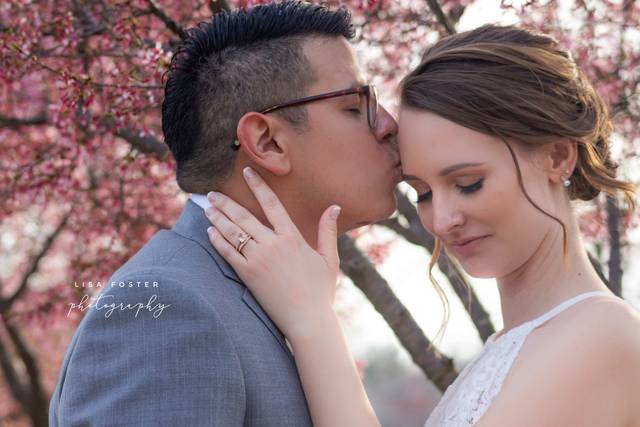 Lisa Foster Photography