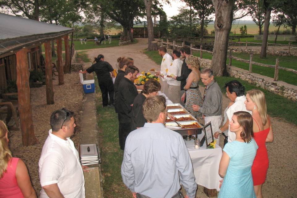 A buffet under the trees