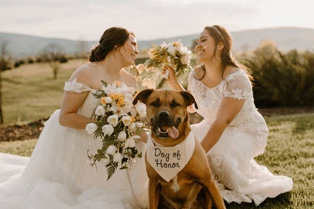 Wedding couple