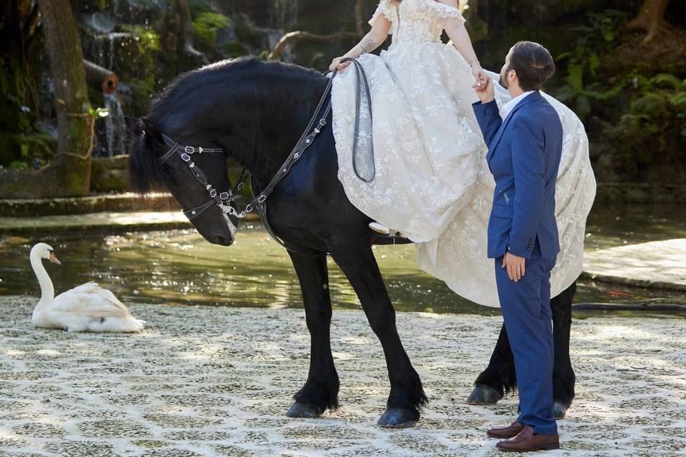 Farm Wedding