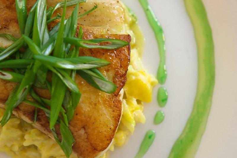 Tropical Grouper fresh from the Gulf with local mango gastrique and kiwi-mango risotto