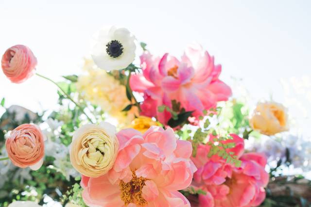 Jenny Quicksall Photography