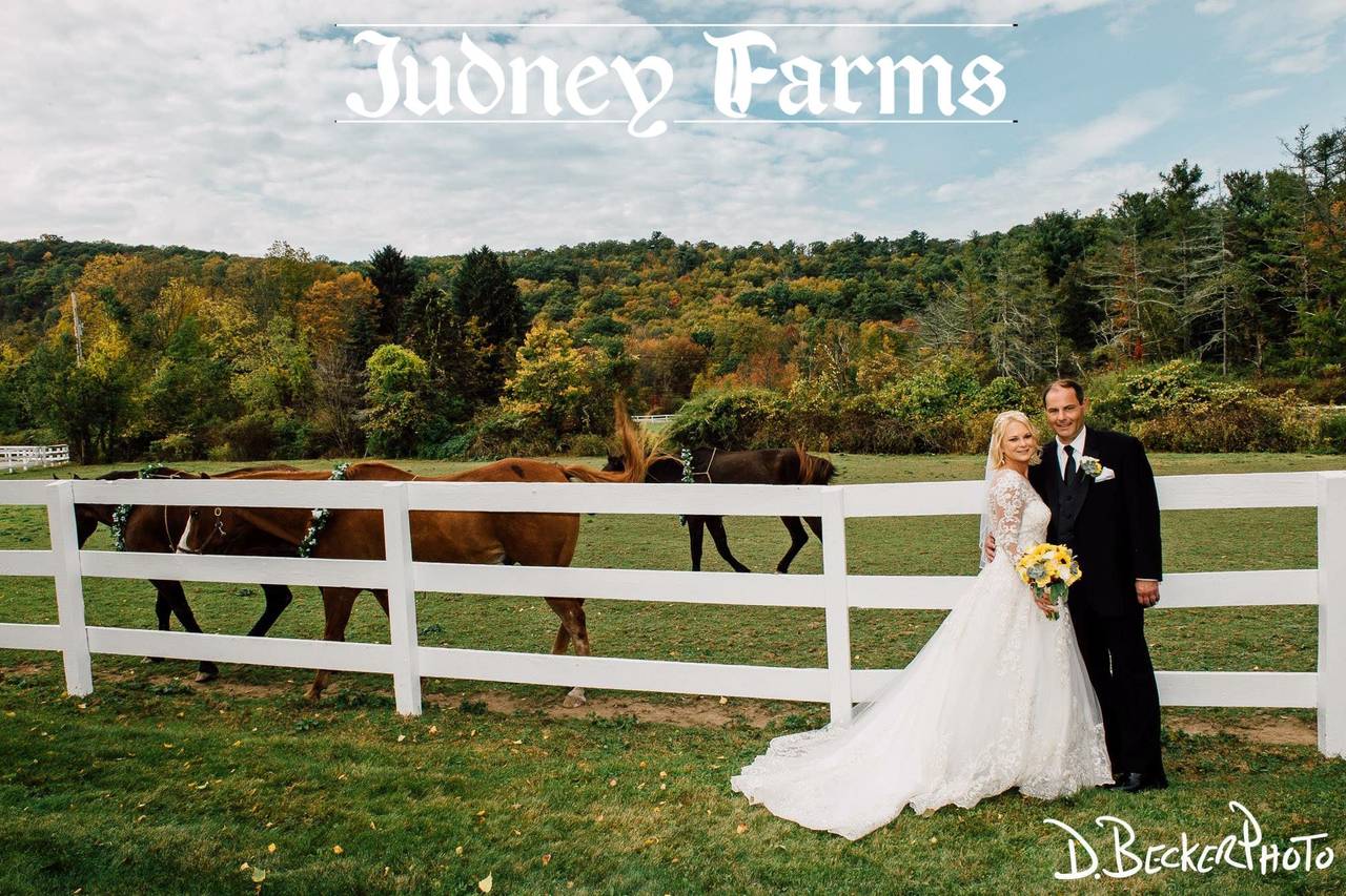 The 10 Best Barn & Farm Wedding Venues in Northern New Jersey WeddingWire