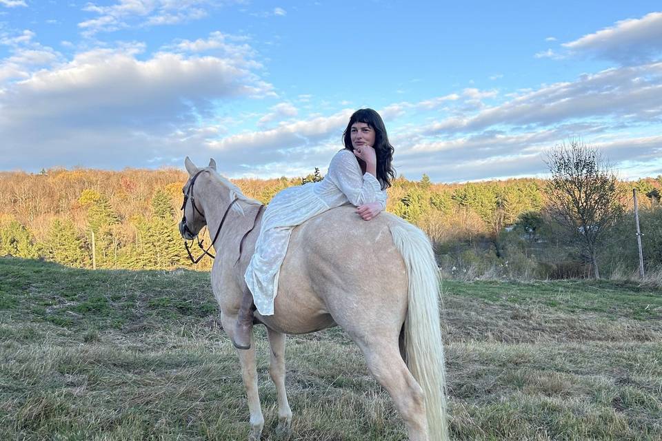 STITCHDOWN FARM