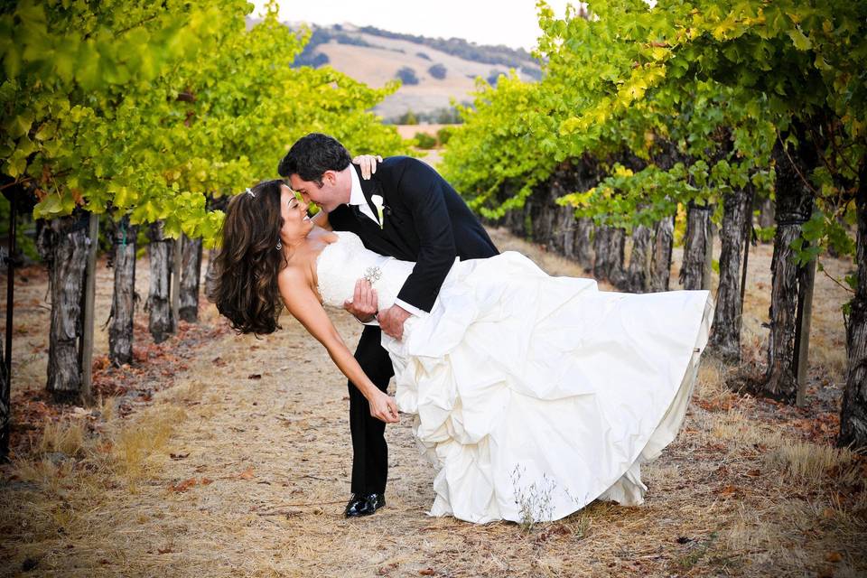 Wine Country Wedding!