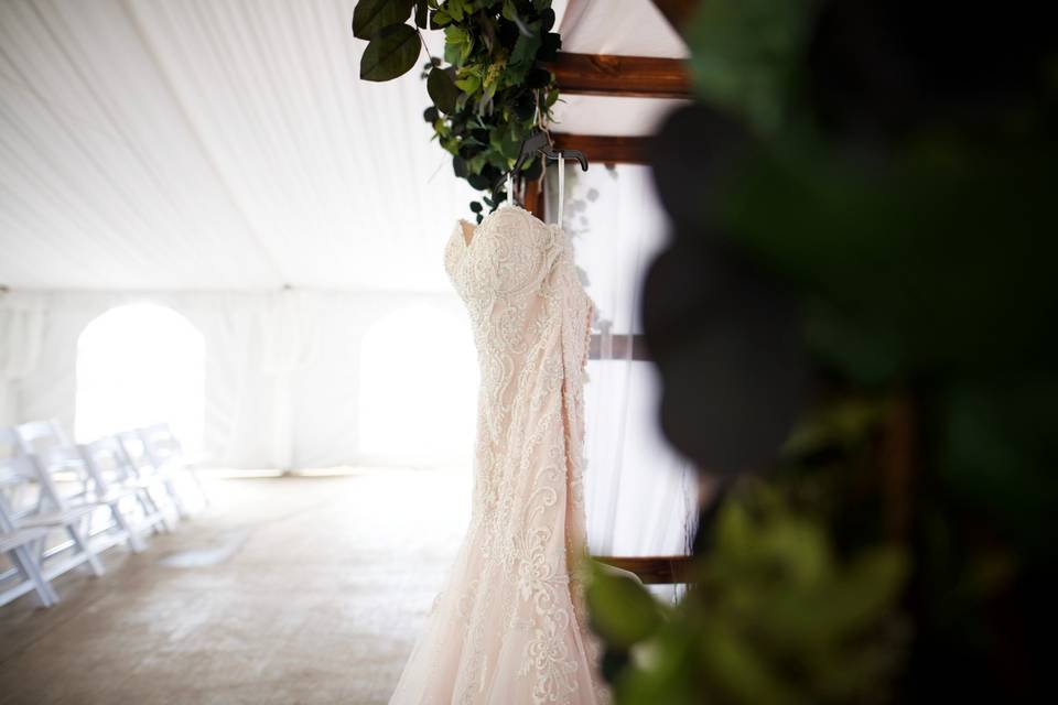 Brides Dress Details