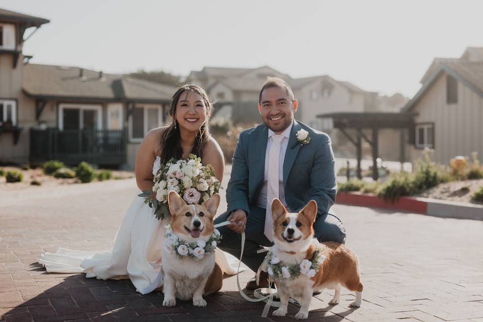 Pet Friendly Venue