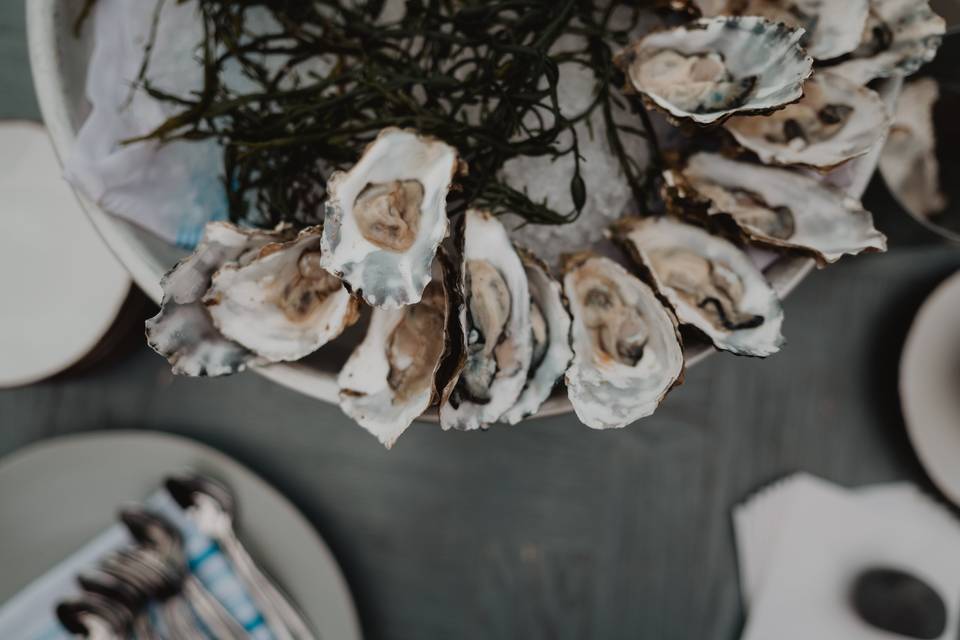 Hors D'oeuvres - Fresh Oysters