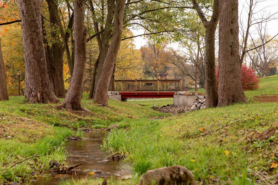 One of our bridges