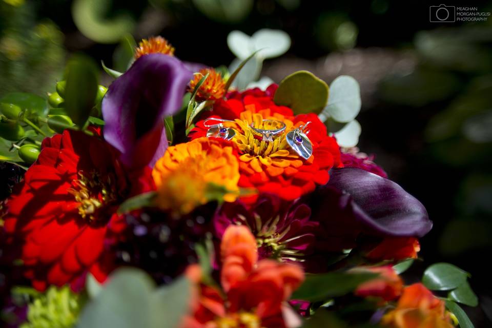 Vivid and colorful flowers - Meaghan Morgan-Puglisi Photography