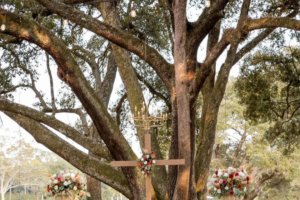 Under the oaks