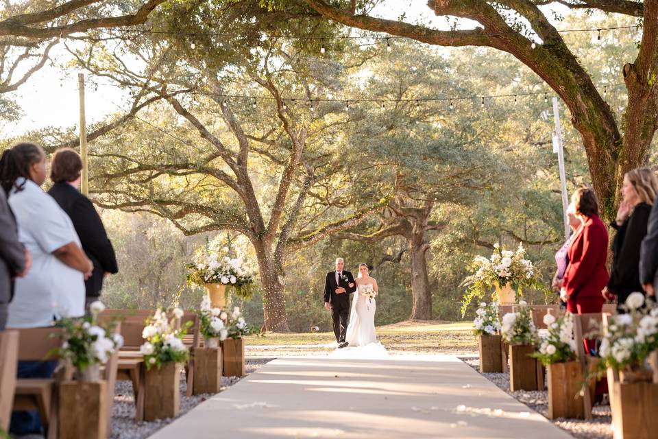 Almond and Bloom Photography