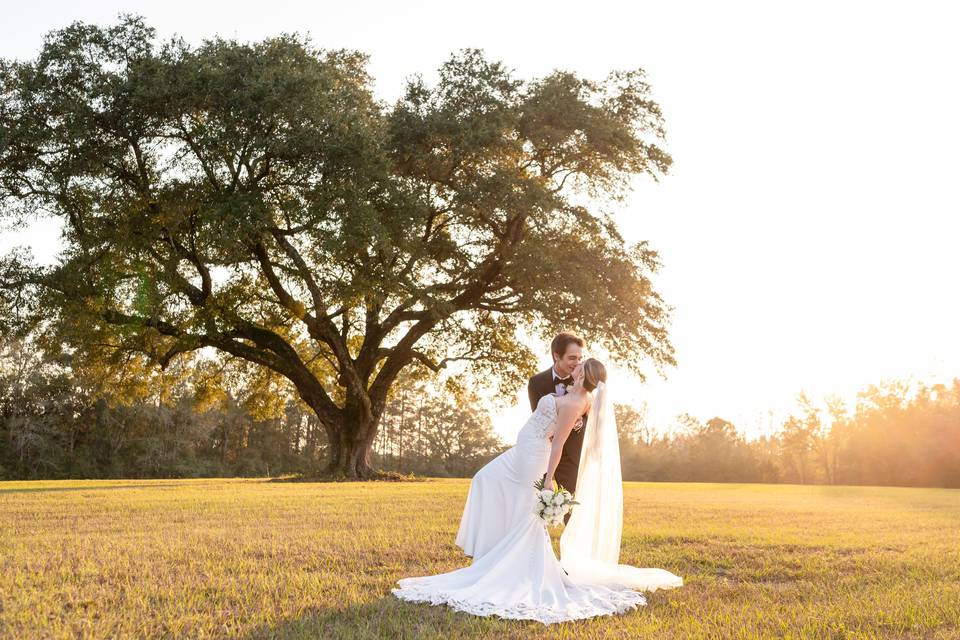 Almond and Bloom Photography