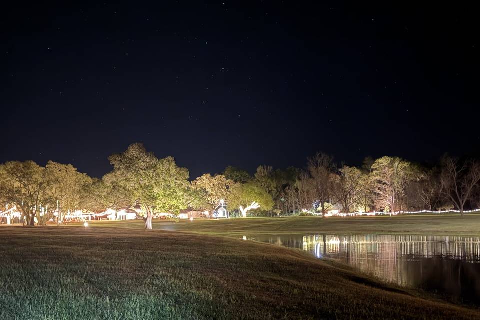 View from pond leavey.