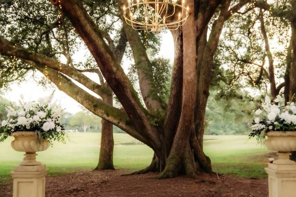 Under the oaks by Holden Still