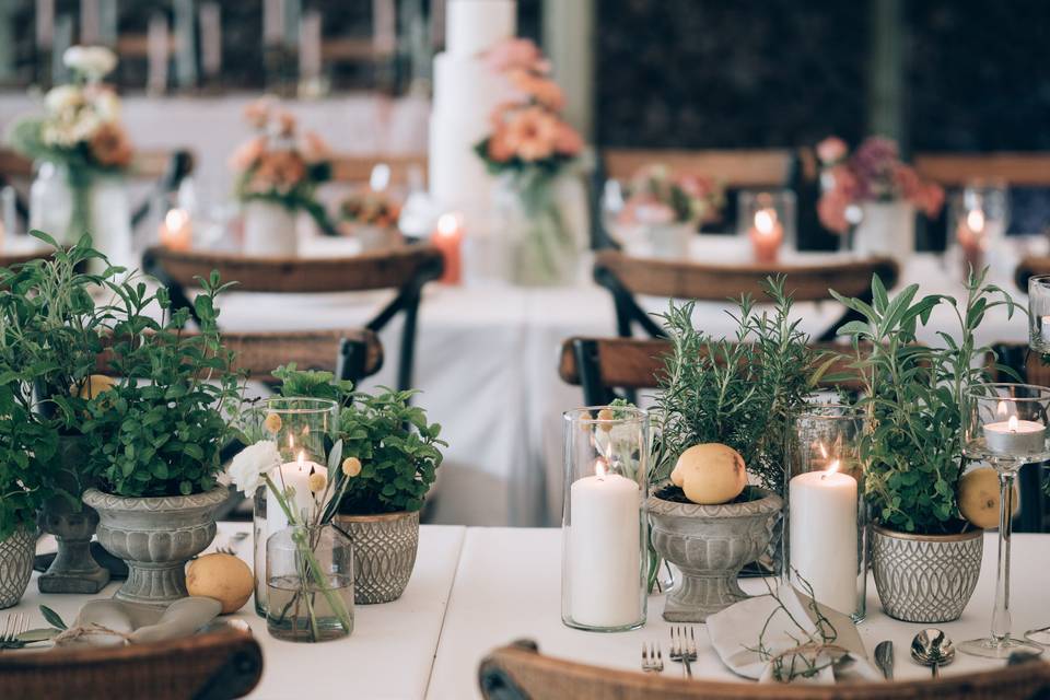 Herbs and flowers centerpieces