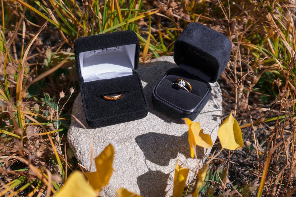 Rings!