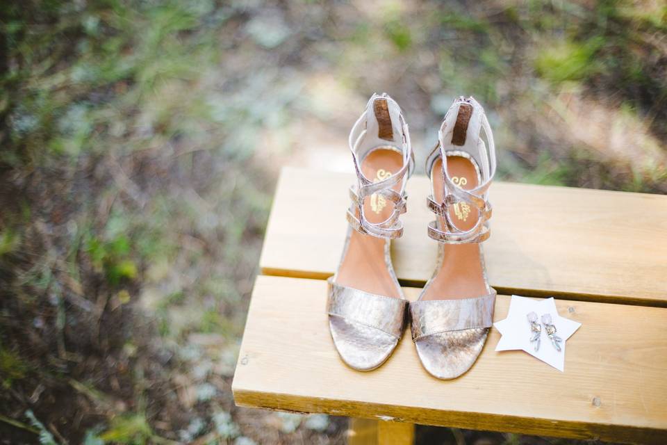 Haylie Noel Photography