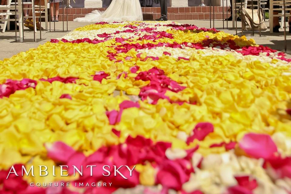 Couple and an aisle of petals