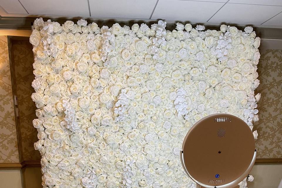 White/ivory flower wall
