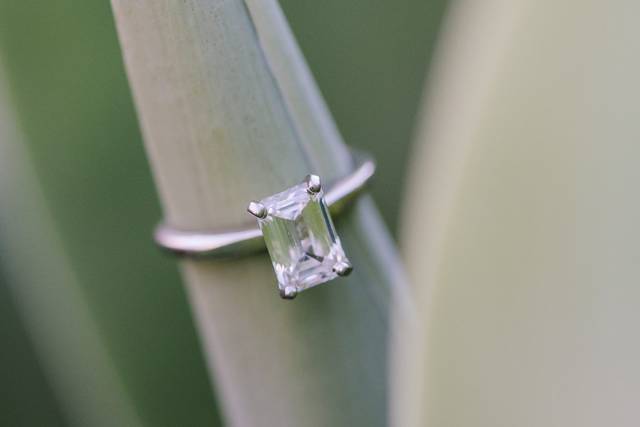 Ring Detail SLO Wedding