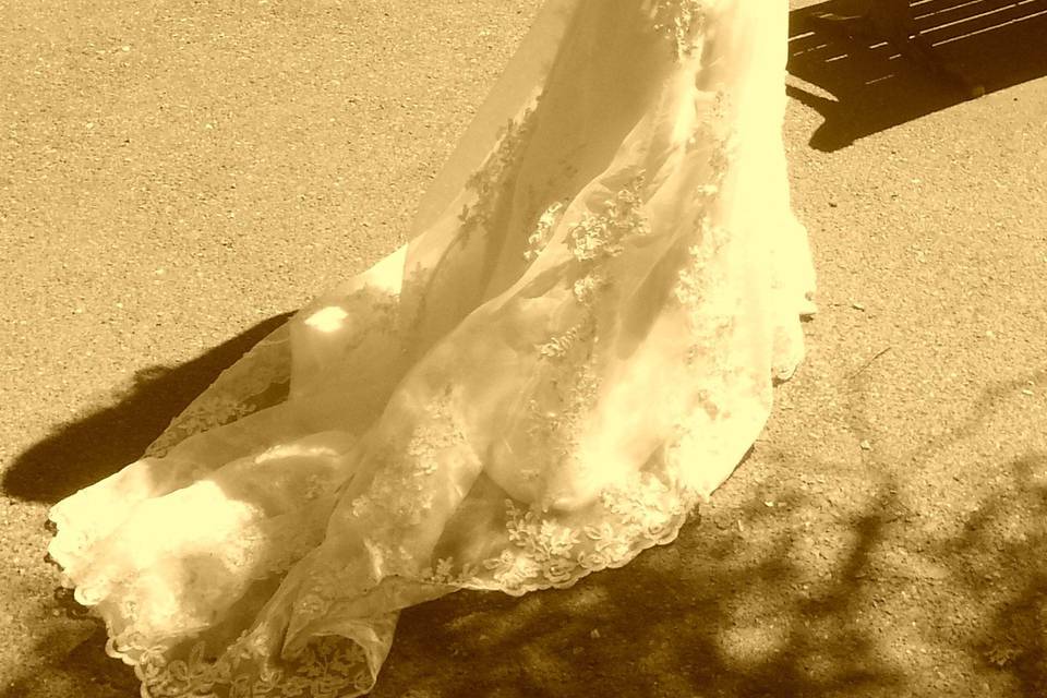 Bridal portrait