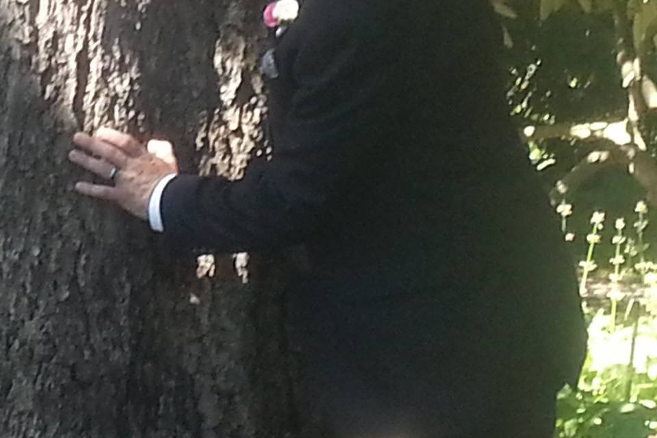 Cassandra's Weddings