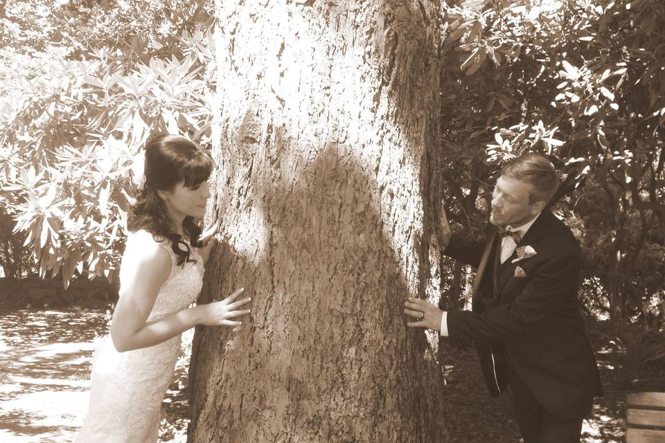 Cassandra's Weddings