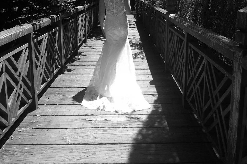 Cassandra's Weddings