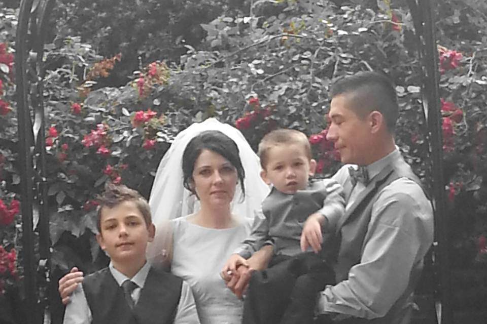 Cassandra's Weddings
