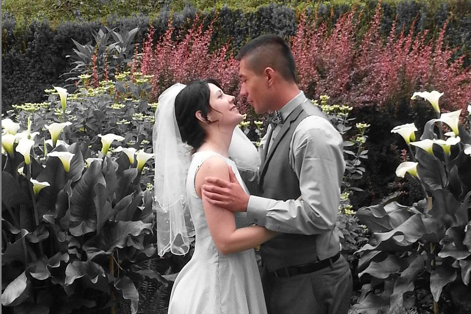 Cassandra's Weddings